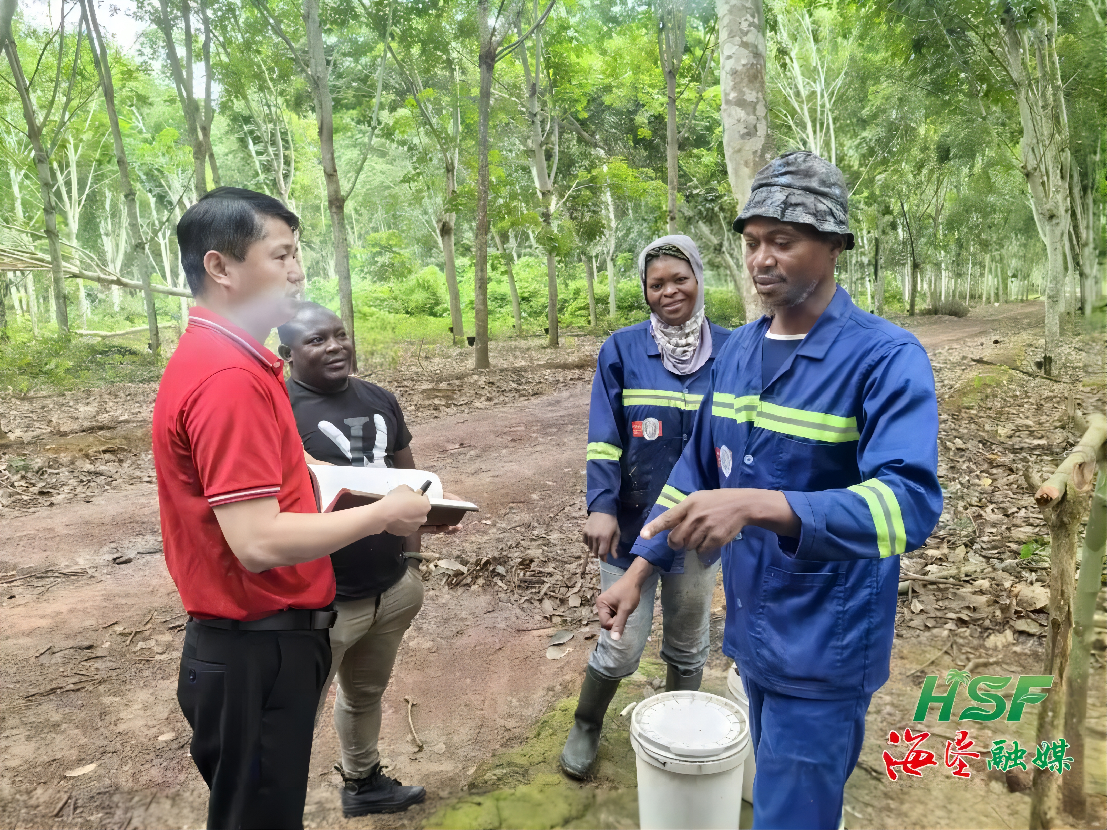 1714302256383095620.jpg 1714302256383095620.jpg