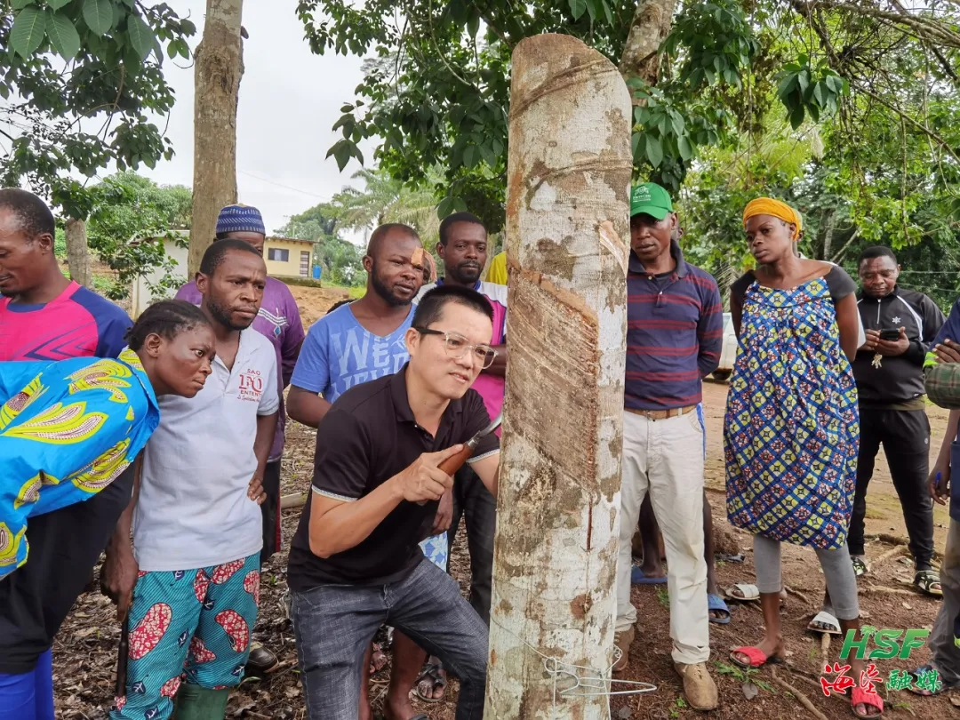 1716538431647011622.jpg 1716538431647011622.jpg