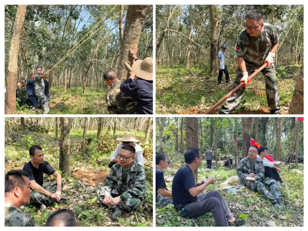 1726648808085065067.jpg 1726648808085065067.jpg