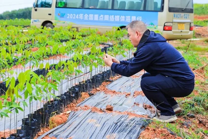 1732497208333065278.jpg 1732497208333065278.jpg