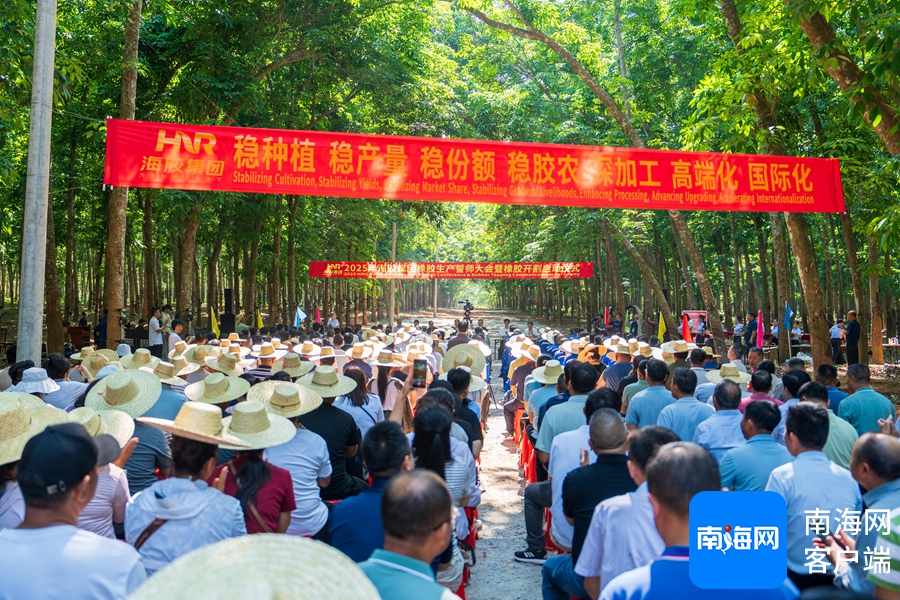 1745455259030044388.jpg 1745455259030044388.jpg