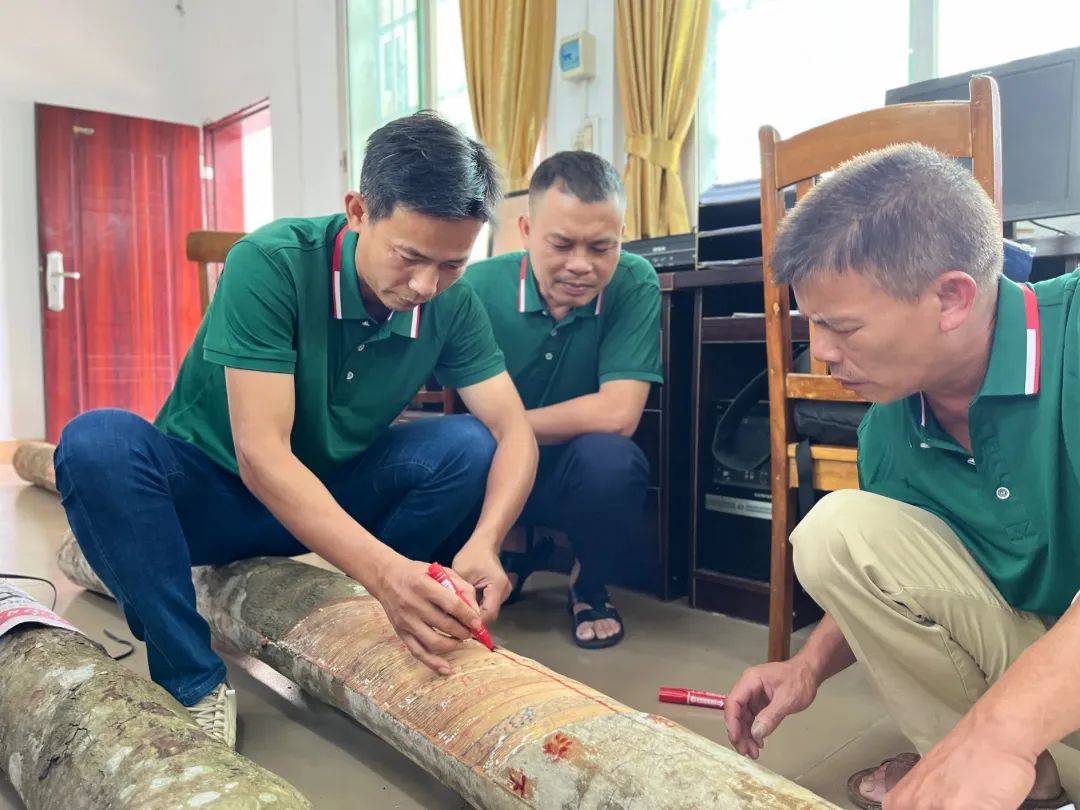 1747624738597001167.jpg 1747624738597001167.jpg