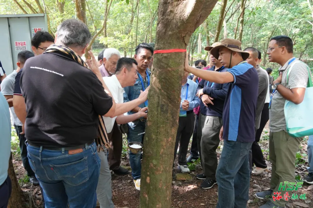 1752747360317079624.jpg 1752747360317079624.jpg